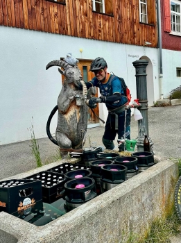Weekend Davos